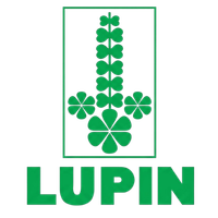 Lupin